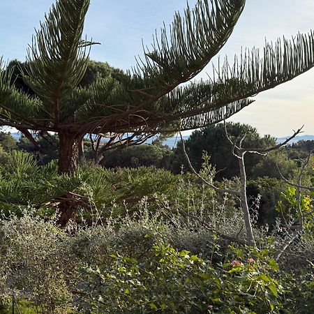 לה לבאנדו Villa Carpe Diem מראה חיצוני תמונה